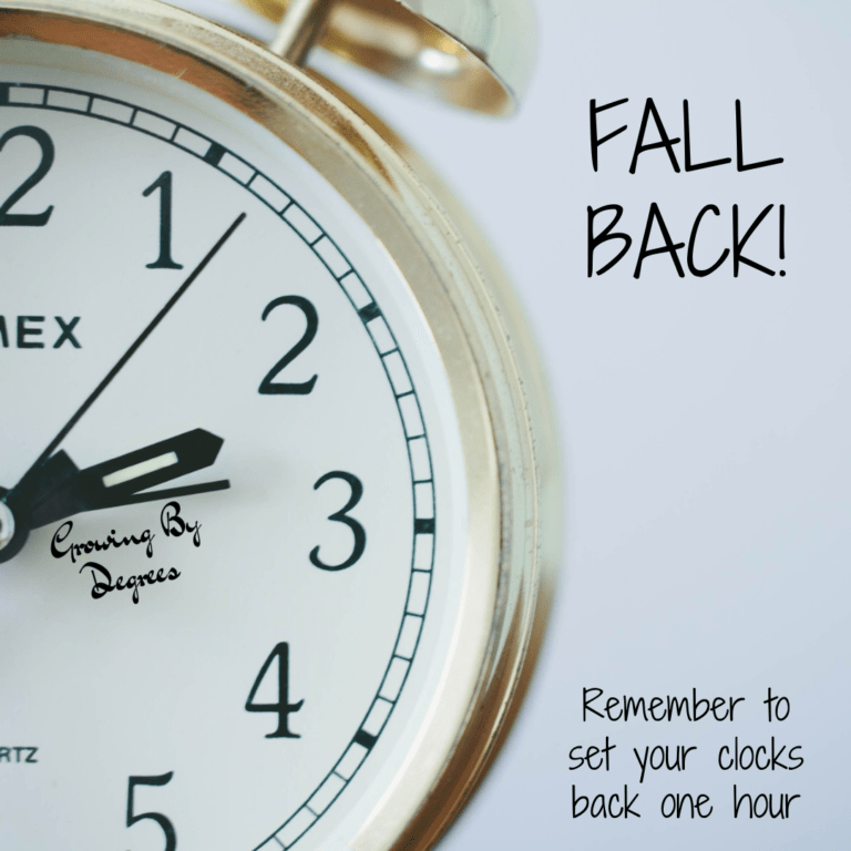 How to survive the time change (without losing your sanity)