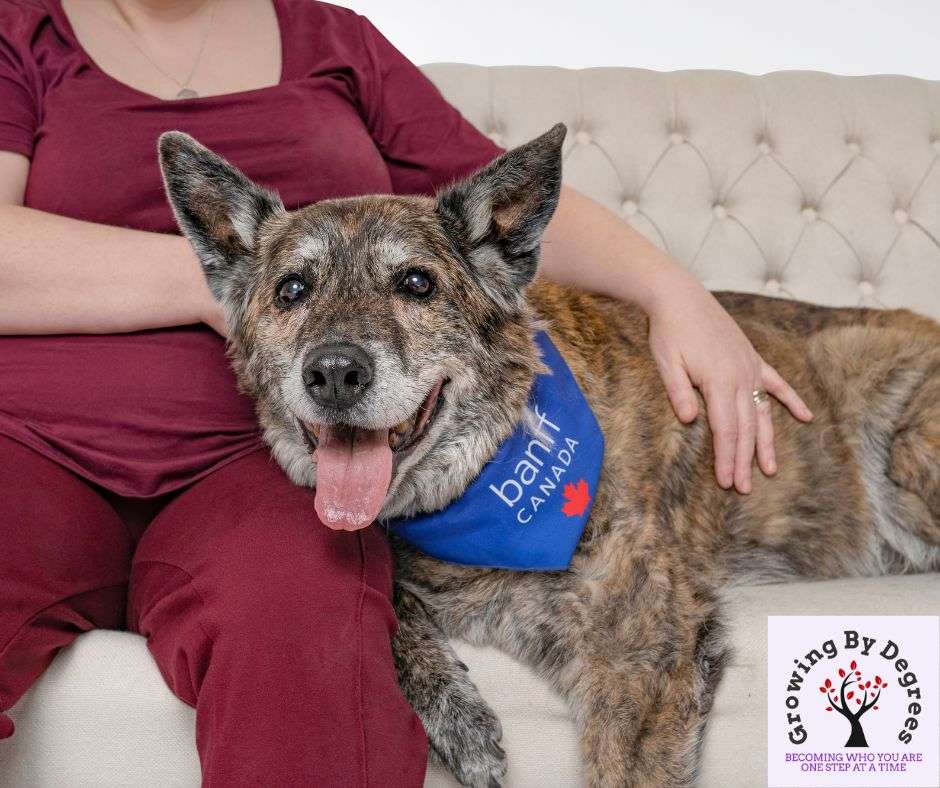 A dog with a brindle coat and a "Banff Canada" bandana sits on a beige couch next to a person in a red top and maroon pants, hand resting on the dog. Life's little surprises are captured in moments like these. In the lower right corner is a logo with "Growing By Degrees.